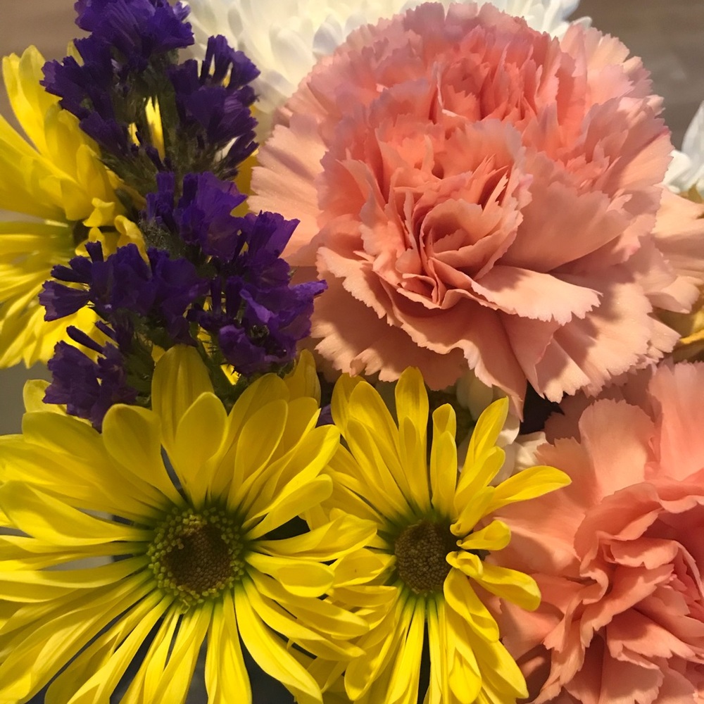 Meet your Posher, Nahid